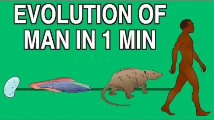 EVOLUTION OF MAN IN 1 MINUTE