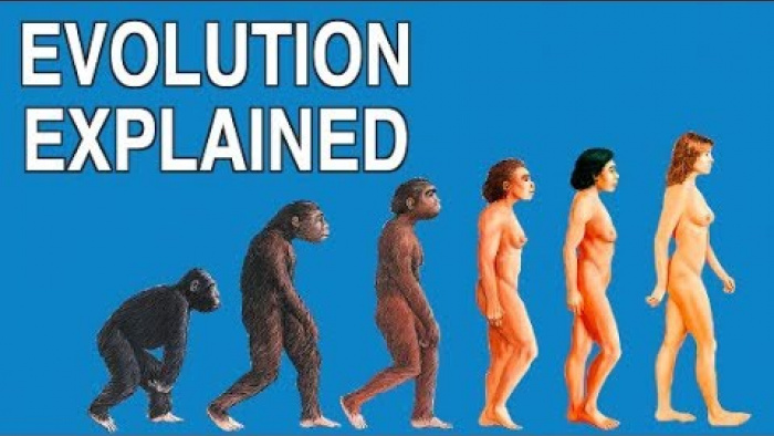 EVOLUTION EXPLAINED IN 3 MINUTES