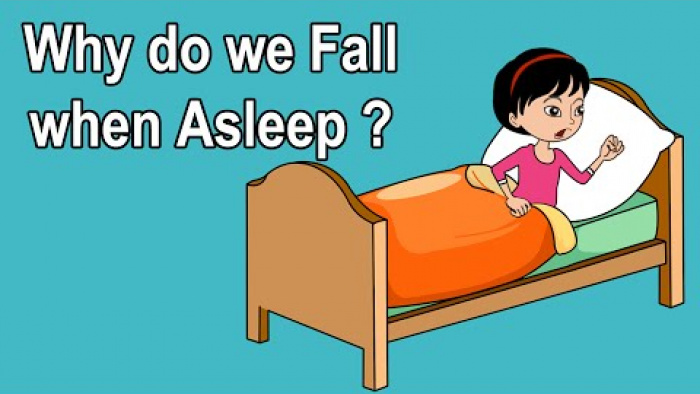 WHY DO WE GET THE SENSATION OF FALLING WHEN WE SLEEP?